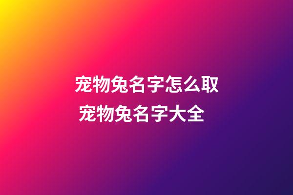 宠物兔名字怎么取 宠物兔名字大全